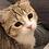 user_73b7c59ff3037d0